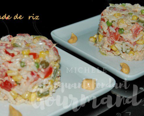 Salade de riz - avril 2009 140 copie (Copy).jpg r