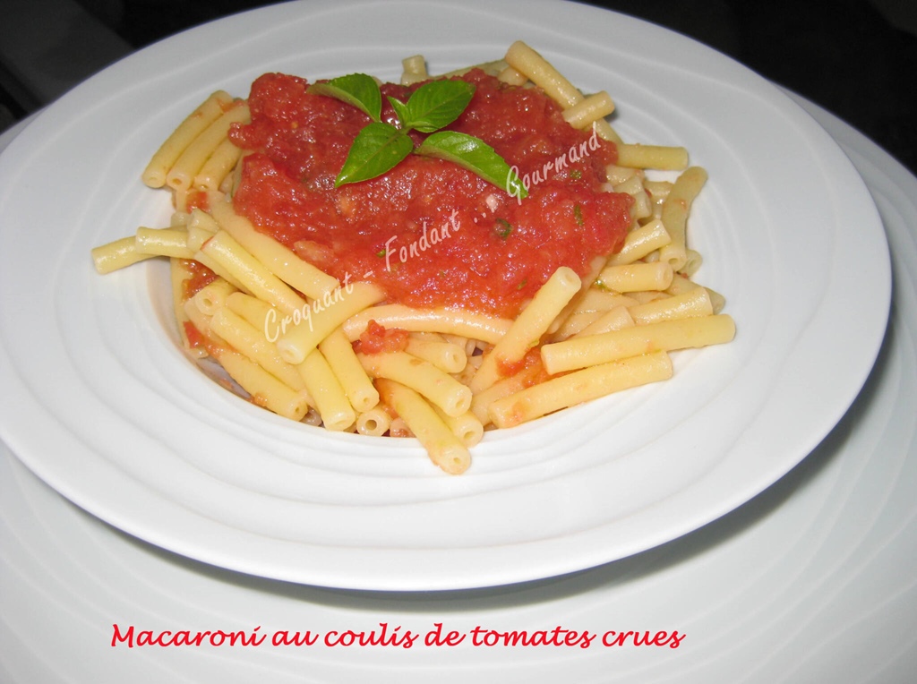 Macaroni-au-coulis-de-tomates-crues-IMG_6047_35228 (Copy)