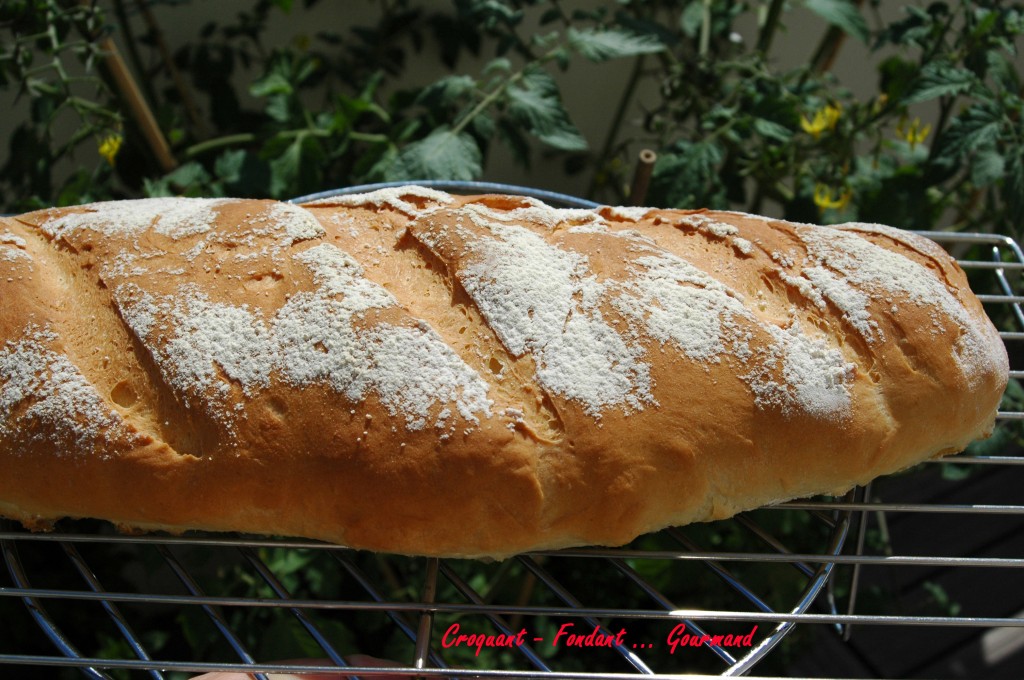 Pain au fromage blanc - DSC_4997_2541