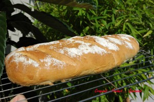 Pain au fromage blanc - DSC_4999_2543