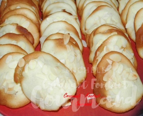 Tuiles aux amandes -DSC_6882_4716 (Copy)