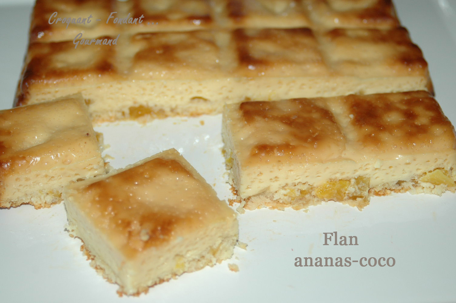 Flan ananas-coco DSC_1368_9303