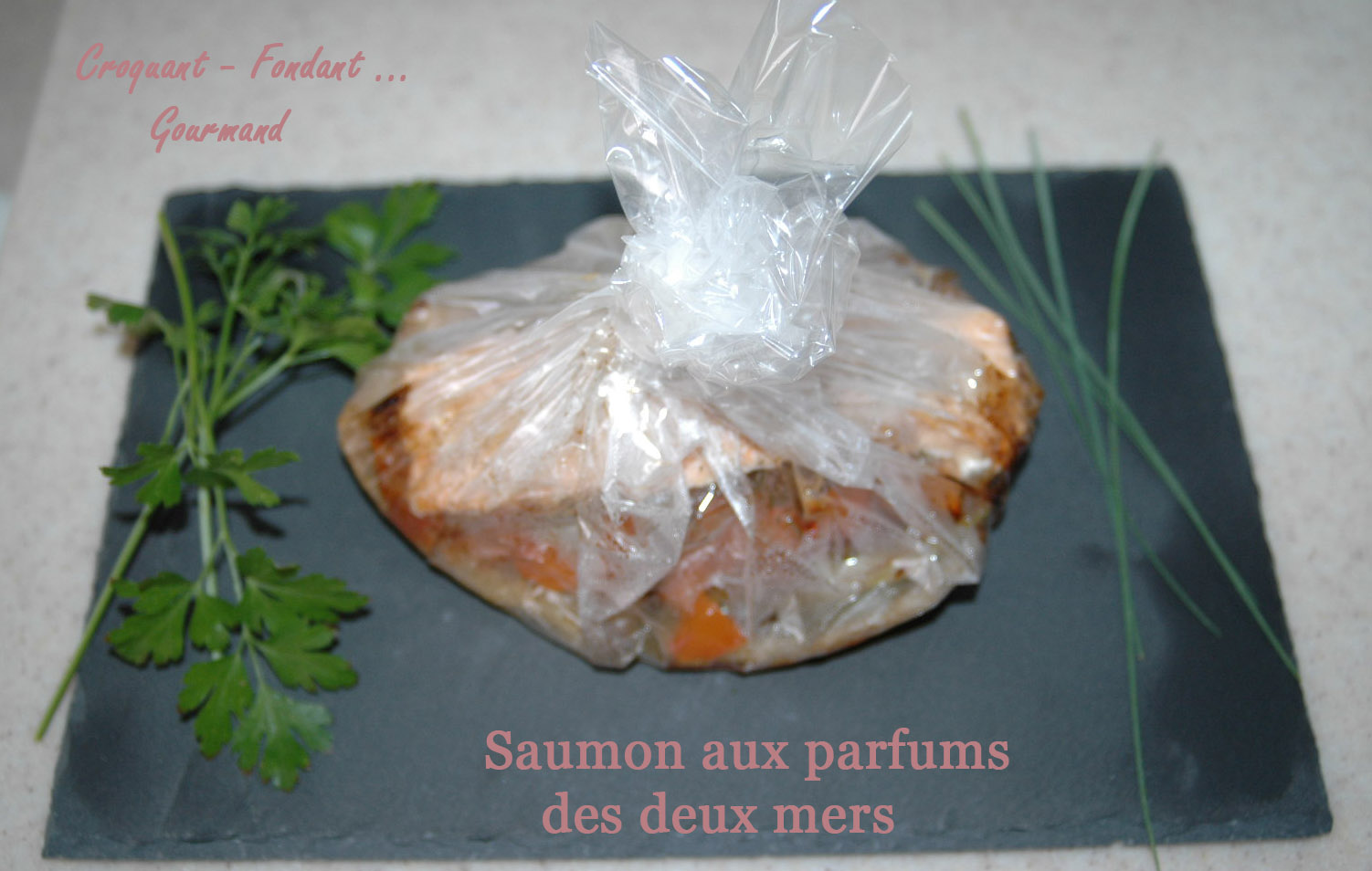 Saumon aux parfums des 2 mers - DSC_1940_9862