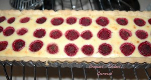 Cheesecake aux framboises - DSC_2139_10059