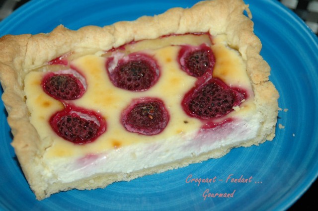 Cheesecake aux framboises - DSC_2181_10101