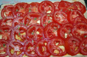 Tarte fromagère aux tomates -DSC_2553_10713