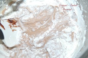 Choco-poire - DSC_6503_14892