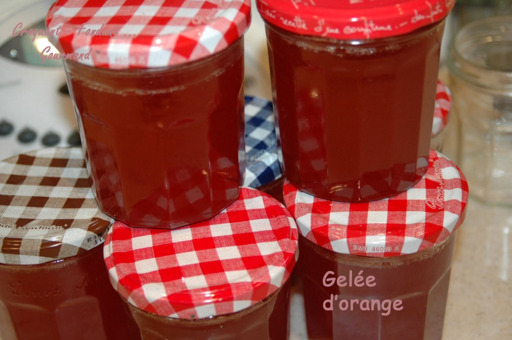 Gelée d'orange - DSC_6323_14714