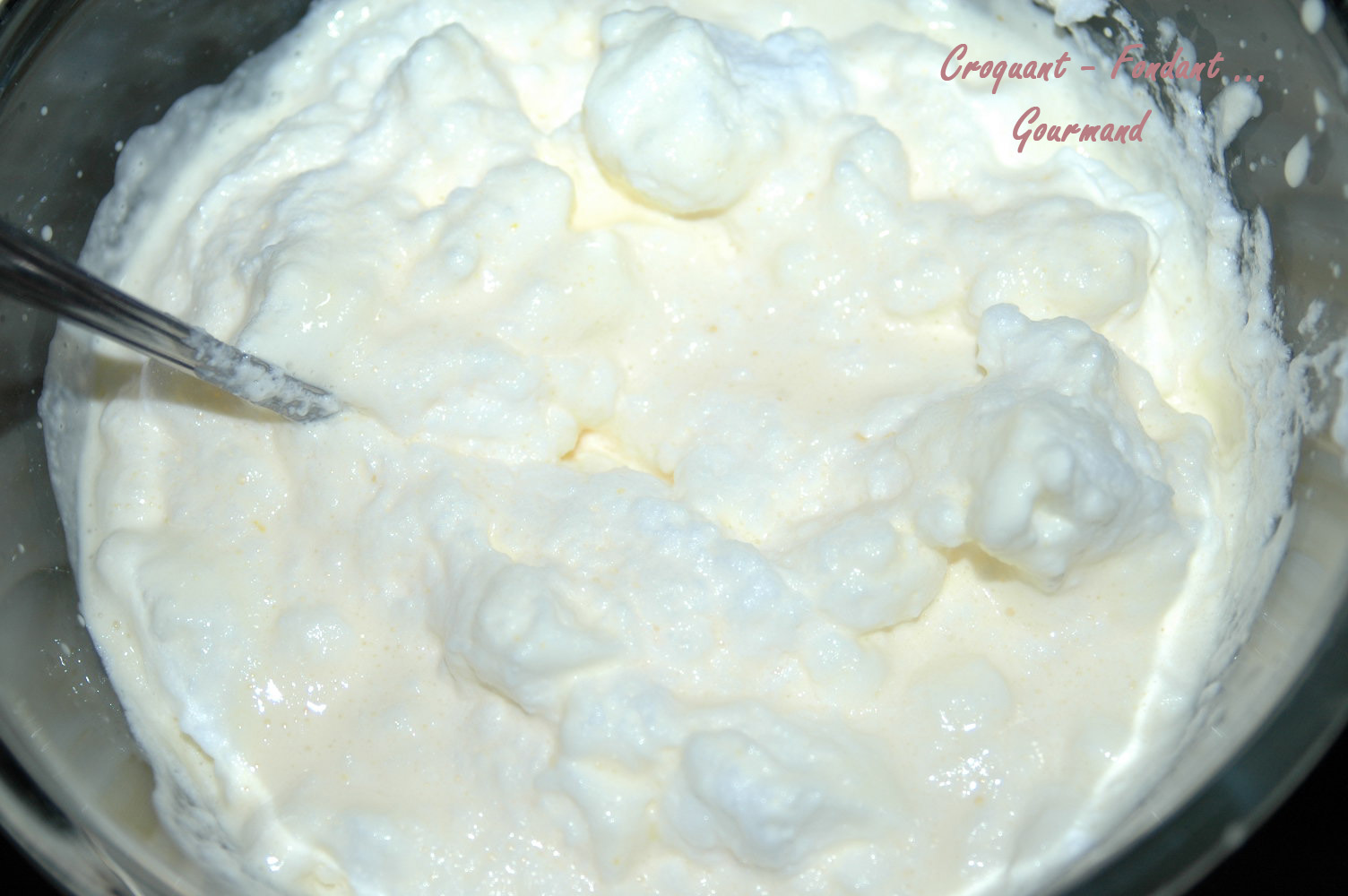 Tiramisu au citron -DSC_6372_14763