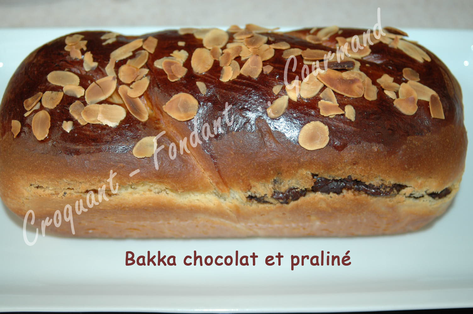 Babka chocolat et praliné -DSC_7406_15798