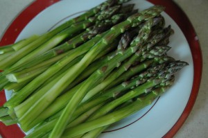 Flans d'asperges - DSC_8993_17498