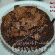 Muffins aux deux chocolats - DSC_8540_17048 (Copy)