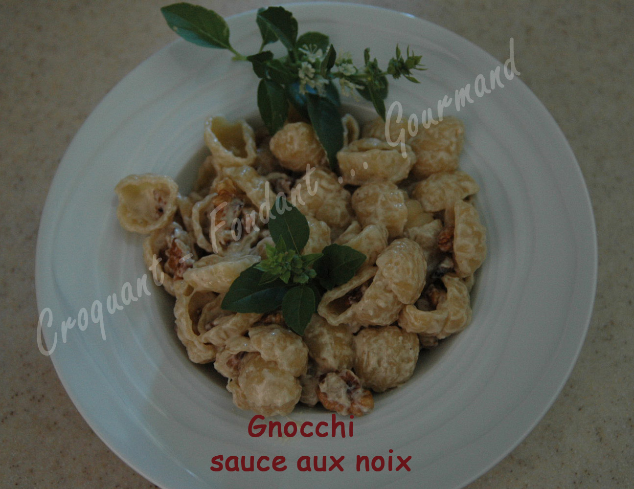 Gnocchi sauce noix -DSC_9802_18305