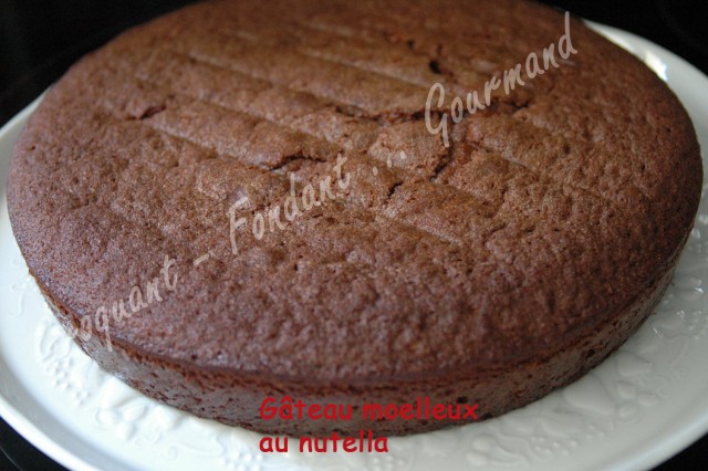 Gâteau moelleux au nutella - DSC_0135_18633