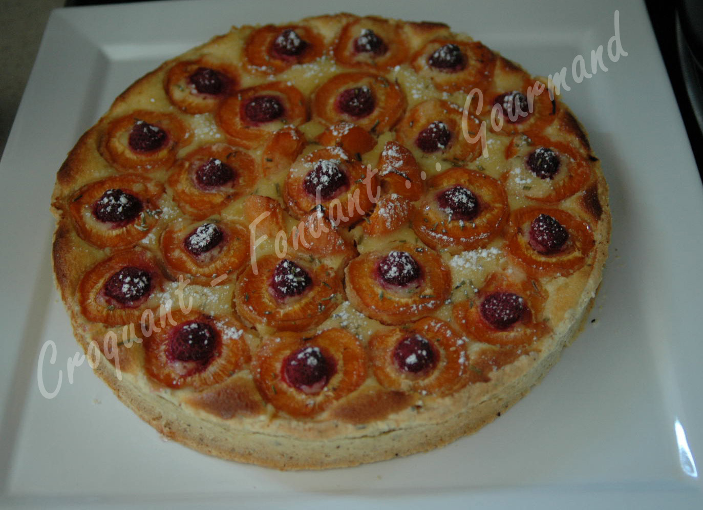 Tarte abricot-framboise - DSC_0012_18513