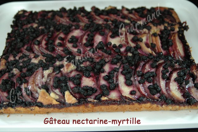 Gâteau nectarine-myrtille DSC_0557_19051