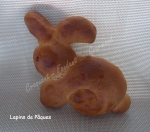 Lapins de Pâques DSCN5117_25106