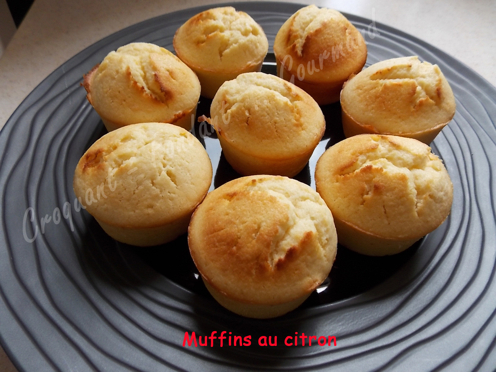 Muffins au citron DSCN5463_25519