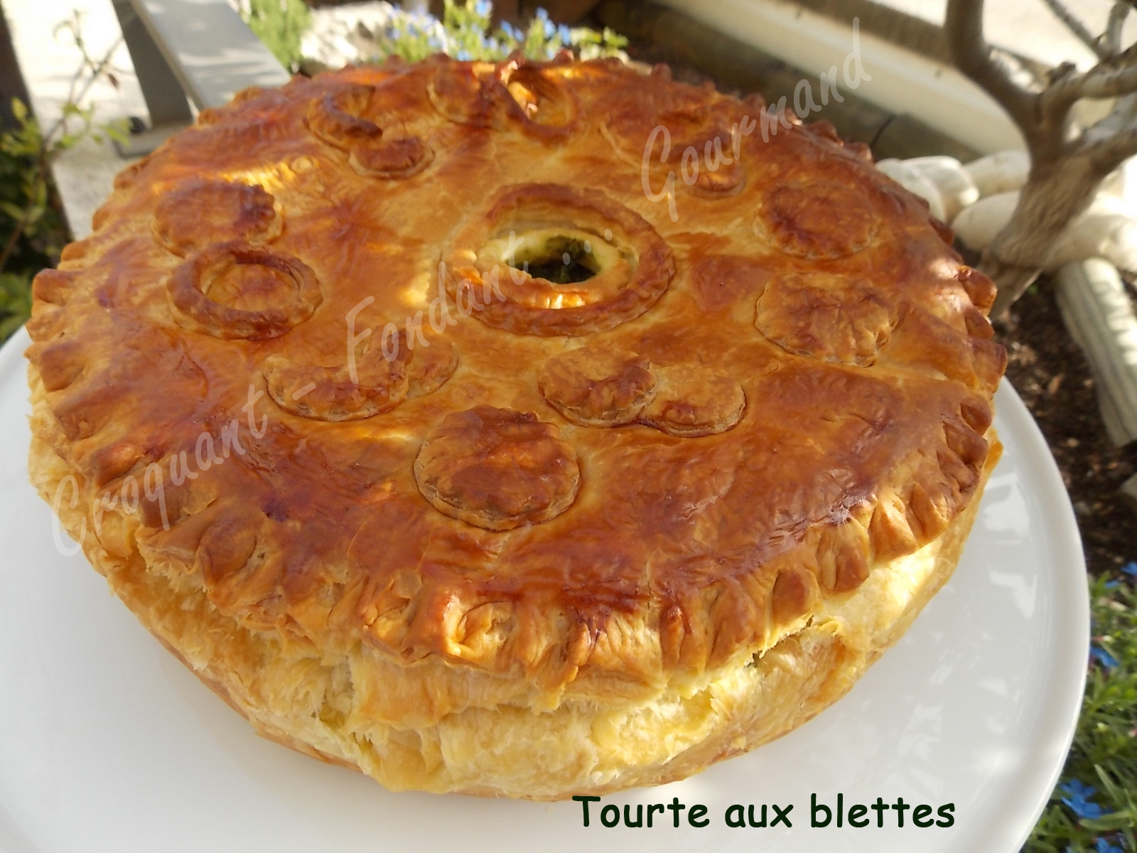 Tourte aux blettes DSCN6026_26082