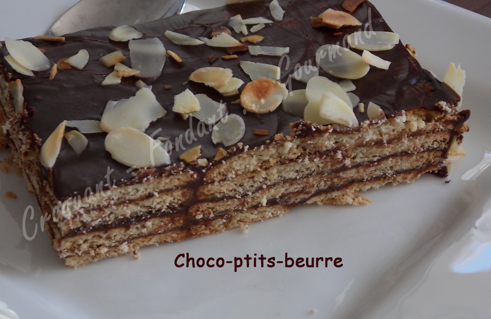 Choco-ptits-beurre -DSCN6616_26736