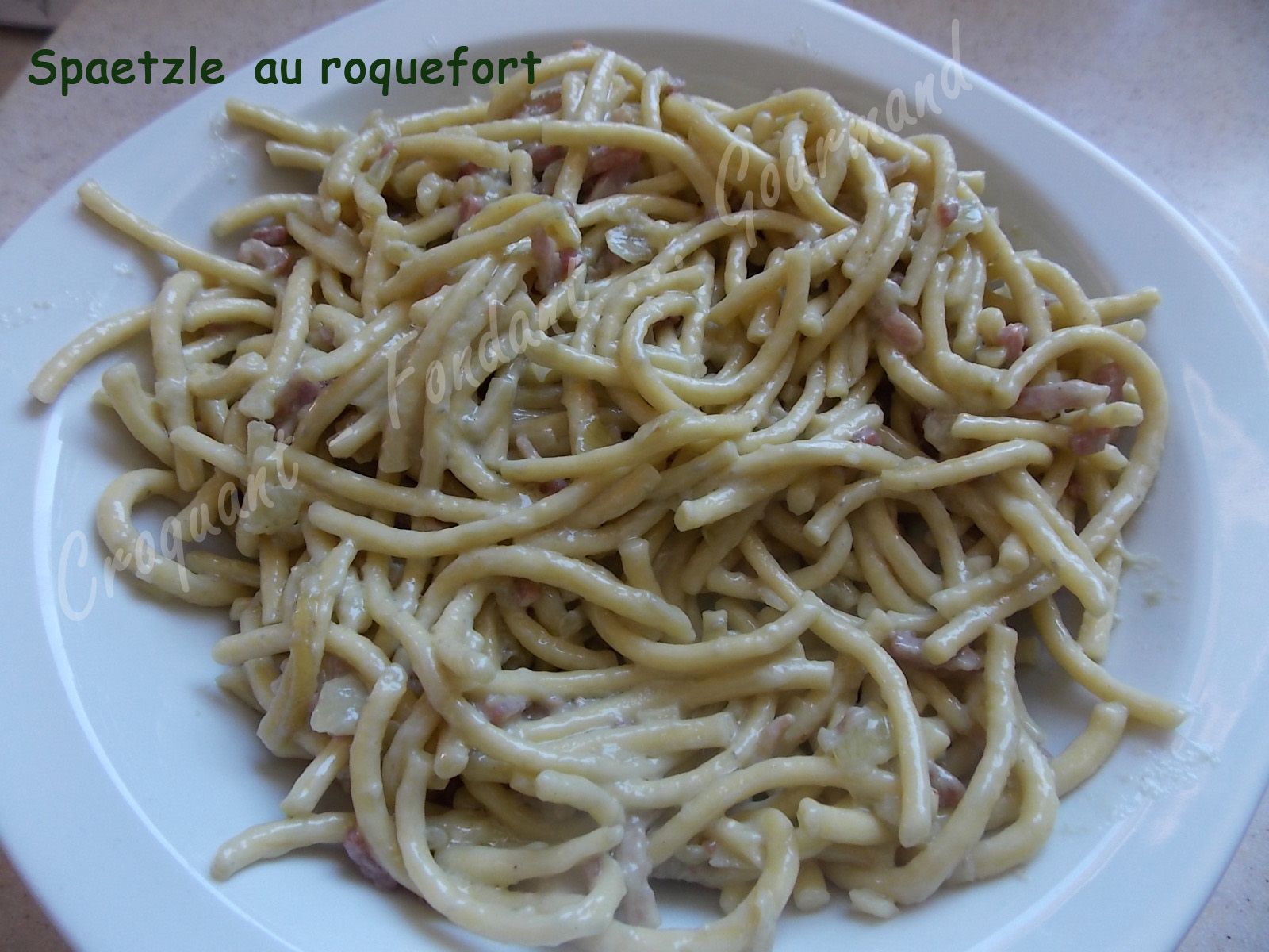 Spaetzle au roquefort DSCN6377_26484