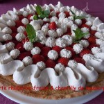 Tarte rhubarbe-fraise & chantilly de mascarpone DSCN6747_26867