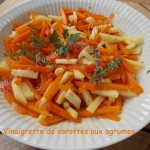 Vinaigrette de carottes aux agrumes DSCN6915_27035