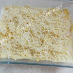 Chips en gratin DSCN0550_30088