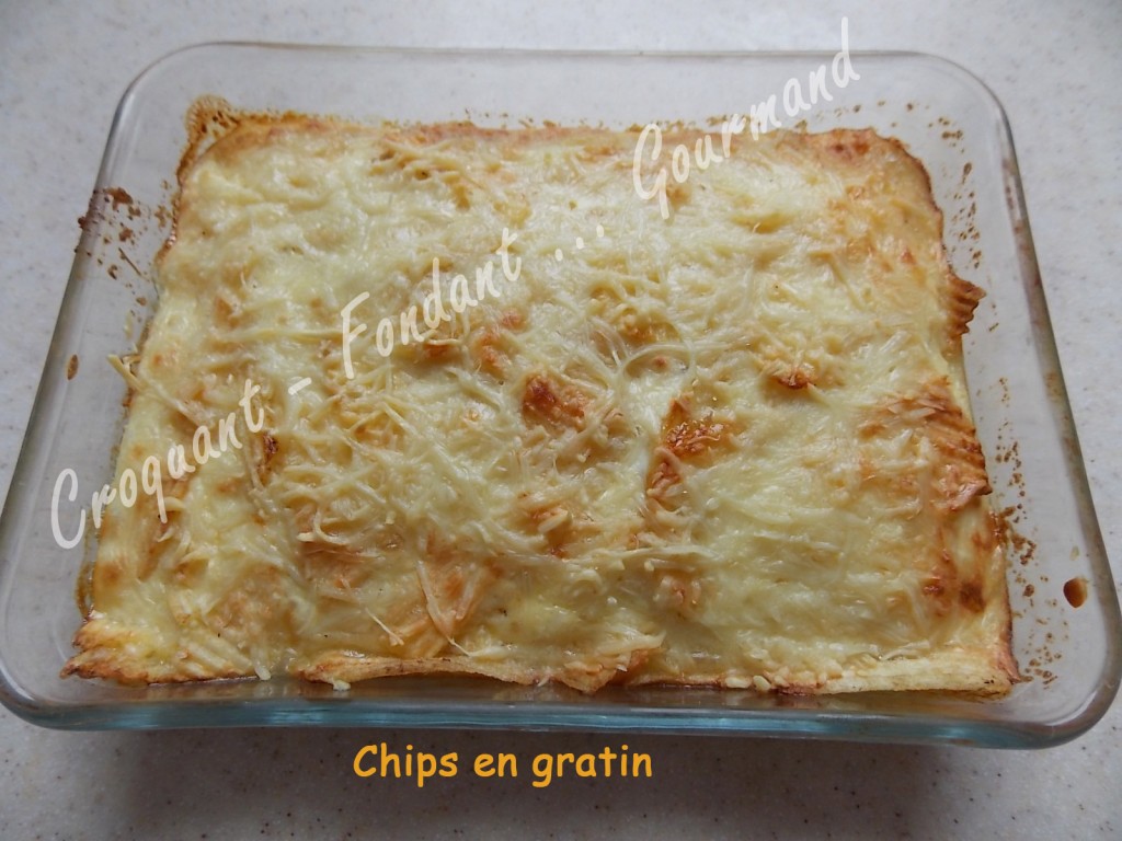 Chips en gratin DSCN0553_30091
