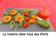 La tomate dans tous ses états Index DSCN9250