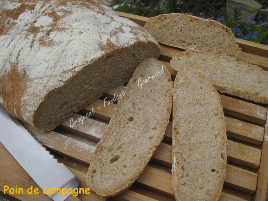 Pain de campagne IMG_5348_33043