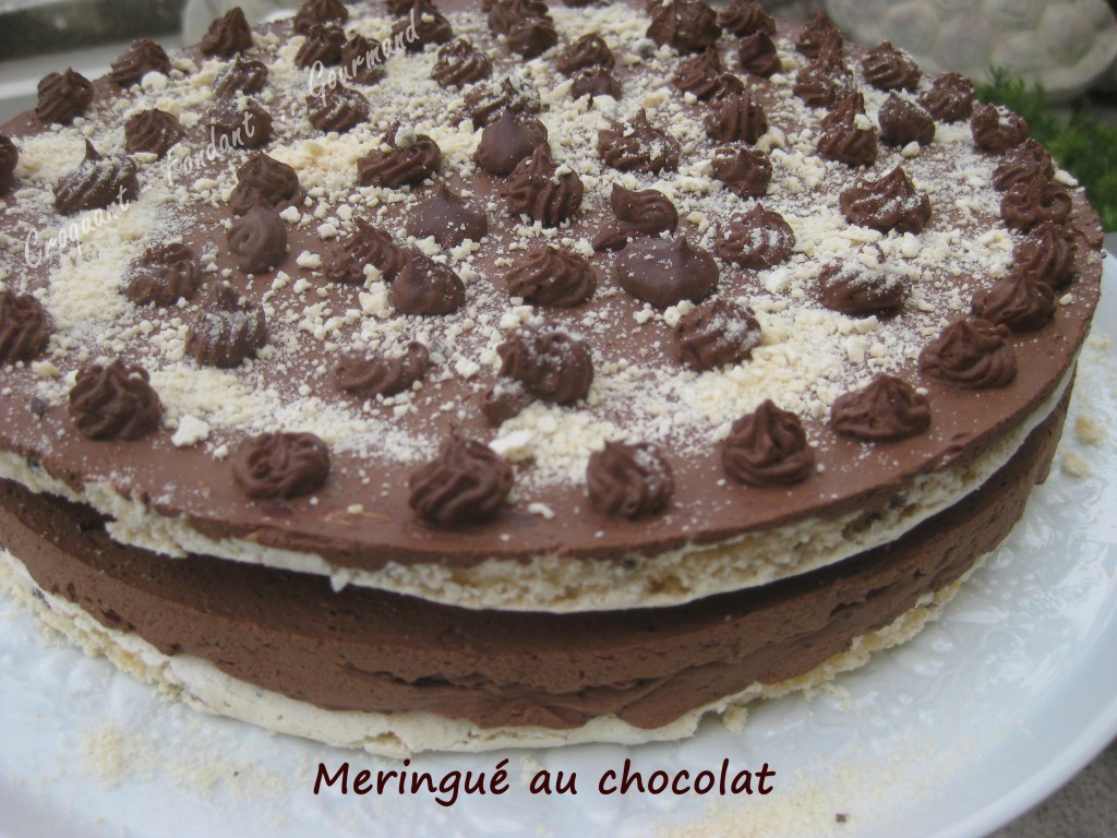 Meringué chocolat IMG_5476_33423