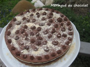 Meringué chocolat IMG_5478_33425