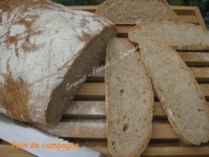 Pain de campagne IMG_5349_33044