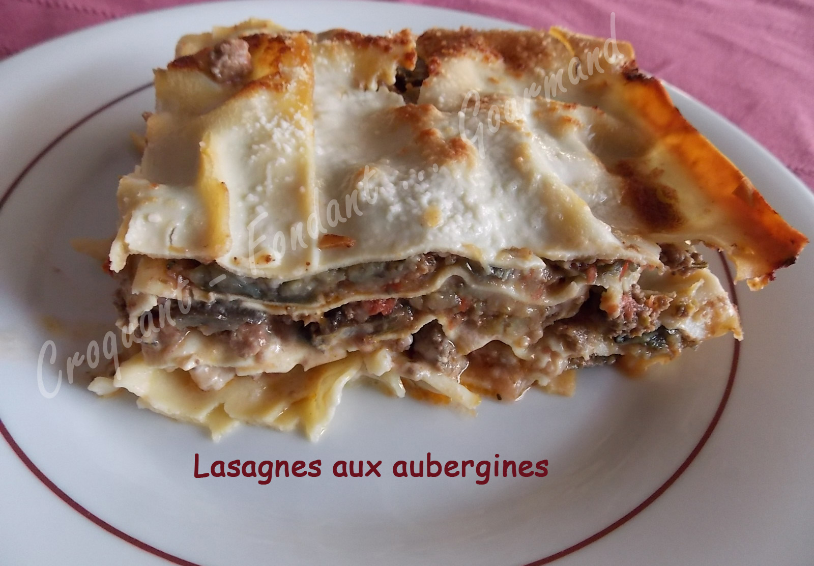 Lasagnes aux aubergines DSCN6761_26881