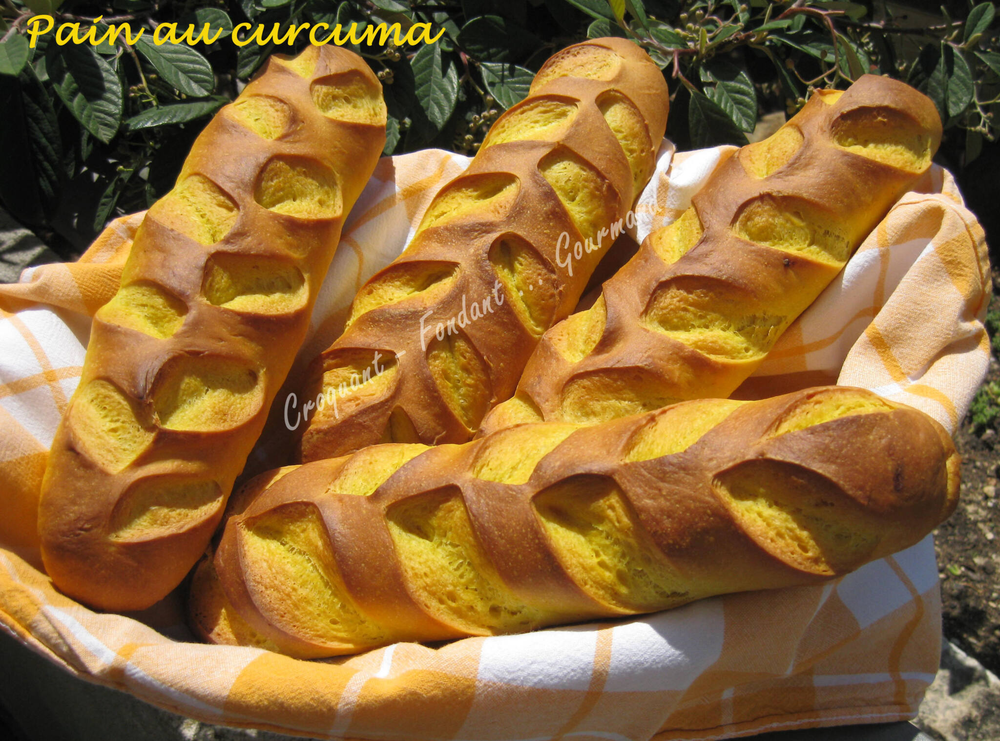 Pain au curcuma IMG_5970_34922