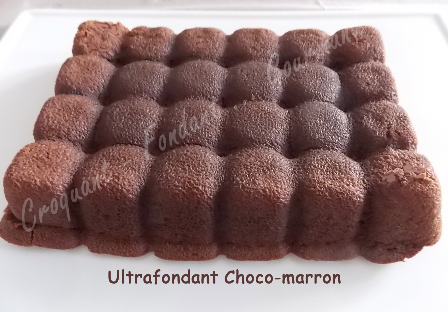 Ultrafondant choco-marron DSCN1075_30613