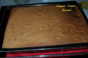 Gâteau d'Audrey - DSC_6448_4286