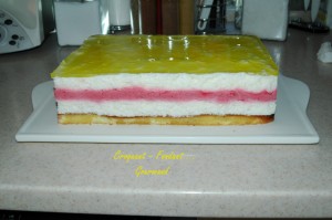 Gâteau d'Audrey - DSC_6510_4346