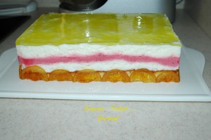 Gâteau d'Audrey - DSC_6512_4348