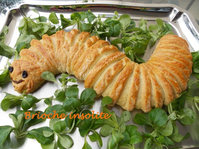 Brioche insolite DSCN6346