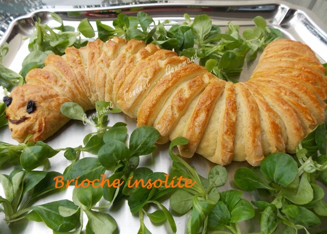 Brioche insolite DSCN6347