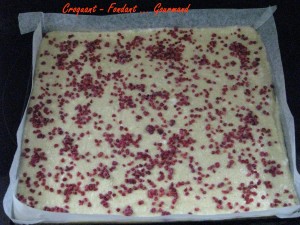 Joconde citron-Framboise - fevrier 2009 003 copie