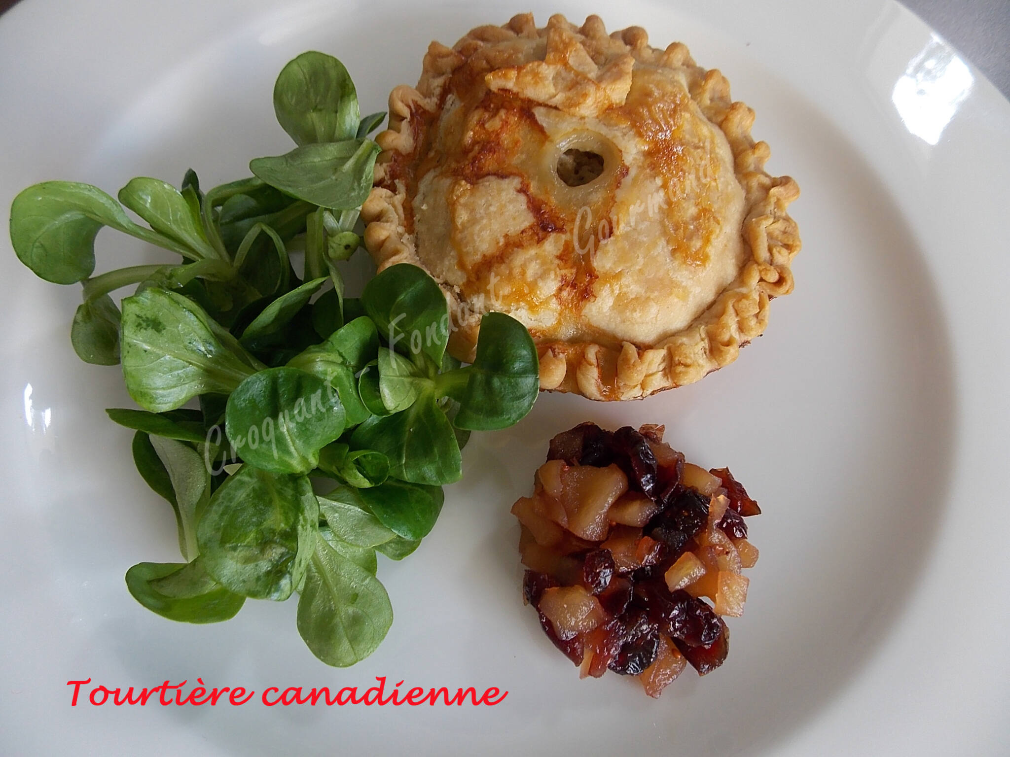 Tourtière canadienne DSCN7274