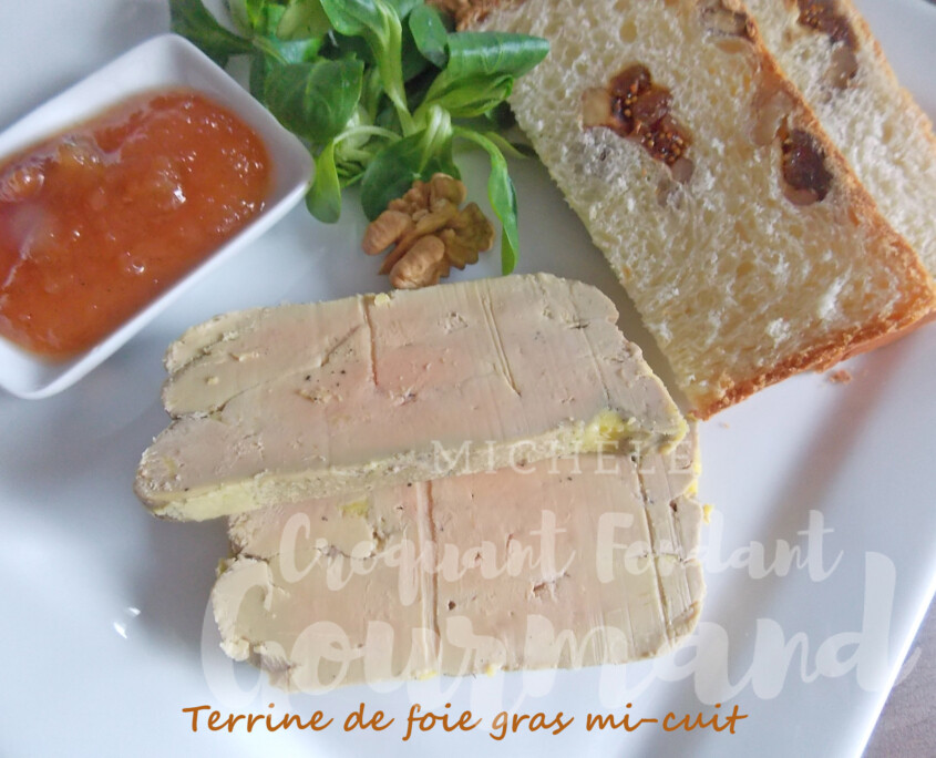 Foie gras mi-cuit DSCN6899 R