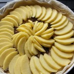 à vous de jouer Tarte aux pommes écureuil Isa gdc 20150322_110855