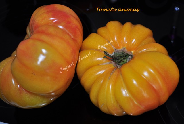 Tomate ananas DSC_0131_12130