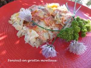 Fenouil en gratin moelleux DSCN7966