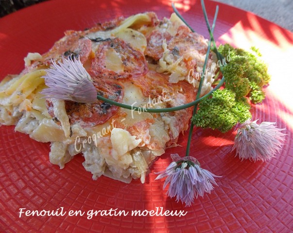 Fenouil en gratin moelleux DSCN7969