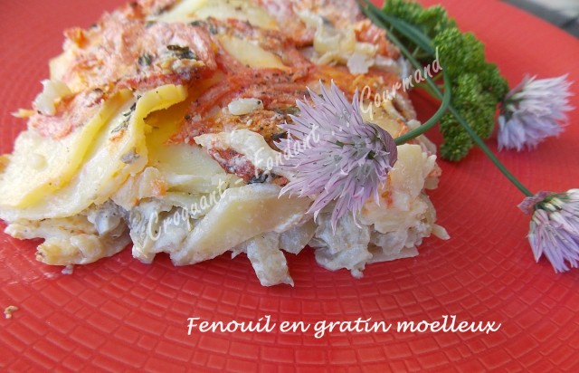 Fenouil en gratin moelleux DSCN7974